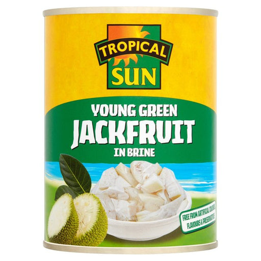 Tropical Sun Jackfruit in Brine 560g Botiga