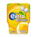 Extra Refreshers Tropical Flavour Sugarfree Chewing Gum Bottle 30 Pieces 67g Botiga