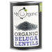Mr Organic Beluga Lentils 400g Botiga