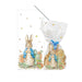 Beatrix Potter Peter Rabbit Cello Treat Bags with Twist Ties 20 per pack Botiga