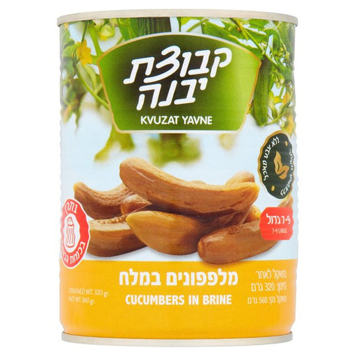 Kvuzat Yavne Cucumbers in Brine 7-9 560g Botiga